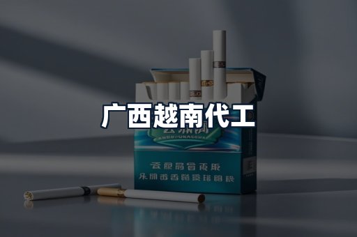 广西越南代工